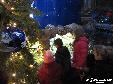 Boże Narodzenie 2013