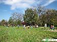 Rajd Nordic Walking Gmina Dębowiec