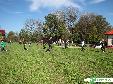 Rajd Nordic Walking Gmina Dębowiec