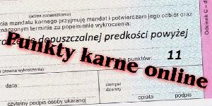 Punkty karne online - uwaga na fałszywe strony